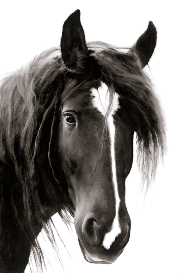 Candid Candid - Image 1