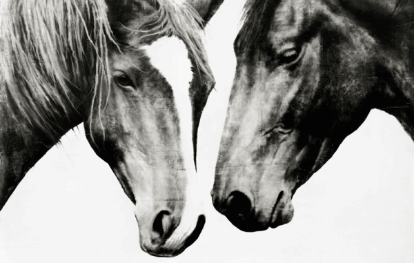 Fate-B&W Fate - B&W - Image 1