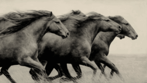 Lead the Way - Sepia