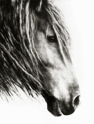 Old Soul