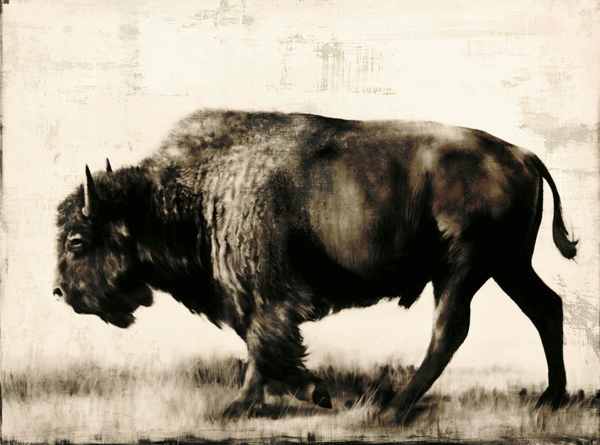 Time-Stands-Still Time Stands Still - Image 1