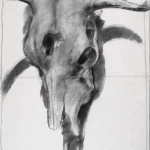 Larry Montana's Skull