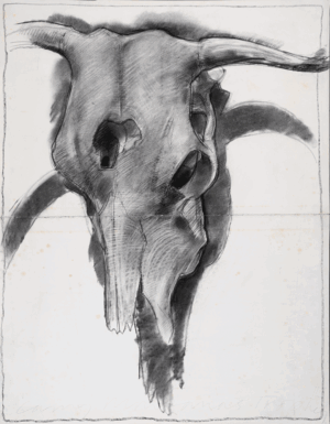 Larry Montana's Skull