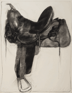 Larry Montana's Saddle #3