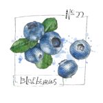 Blueberries