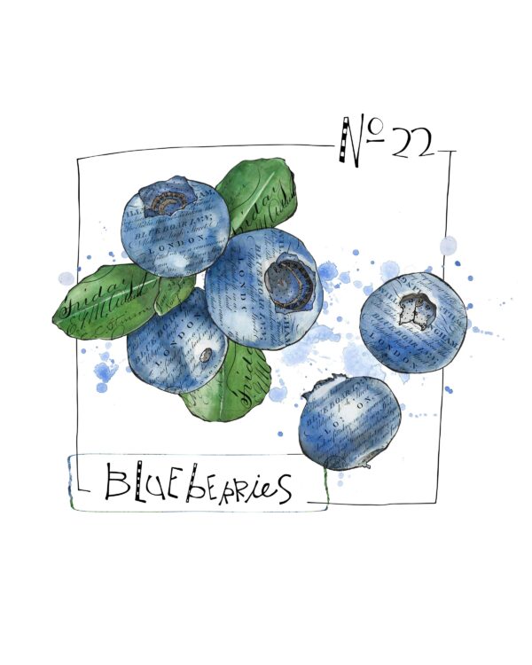 Blueberries - Image 1