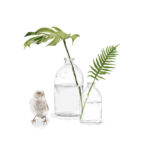 Bird with Glass Bottles