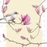 Bird with Magnolias