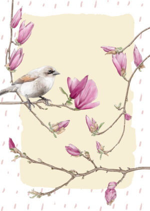 Bird with Magnolias