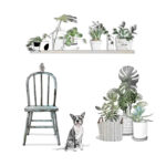 Boston Terrier with Chair and Plants