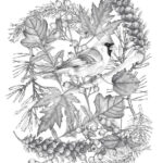 Cardinal with Leaves and Berries