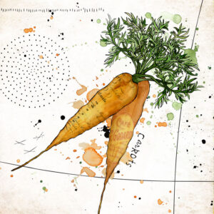 Carrots