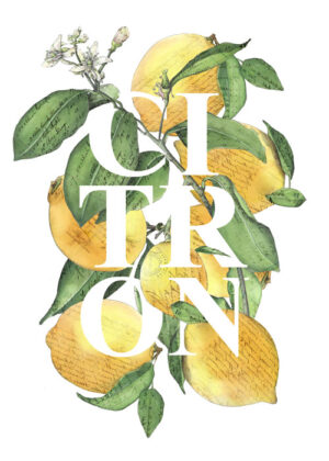 Citron