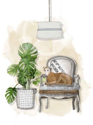 Greyhound in French Chair