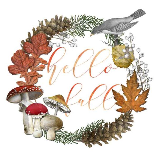 Hello Fall - Image 1