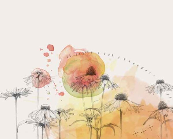 Horizontal-Daisies-(bw-flowers-watercolor-platter-ART) Horizontal Daisies - Image 1