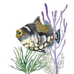 Large Fish with Sea Plants