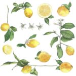 Lemons