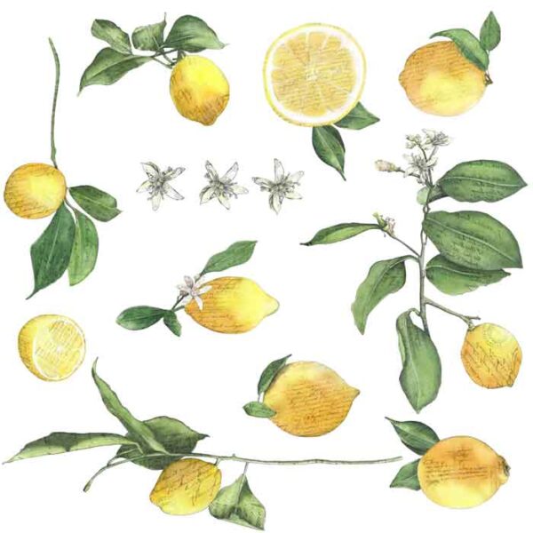 Lemons-(Lemons-pattern) Lemons - Image 1