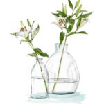 Lilies in Vases
