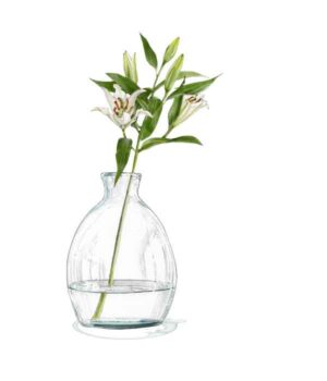 Lily in Oval Vase