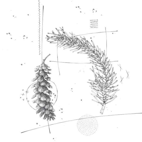 Long-Pine-Cone-and-Needles---Black-and-White-(long-pine-cone-plate-ART) Long Pine Cone and Needles - Black and White - Image 1