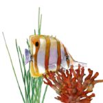Orange Striped Butterfly Fish
