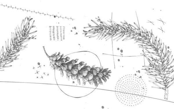 Pine-Cone-with-Needles-(Long-pine-cone-and-short-needles-bowl-ART) Pine Cone with Needles - Image 1