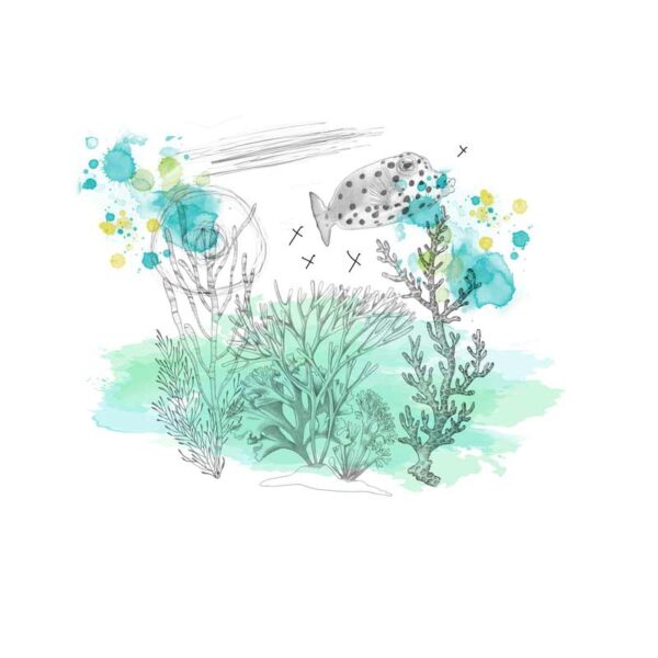 Pufferfish - Image 1