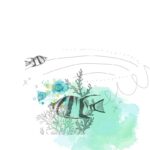 Two Striped Angel Fish