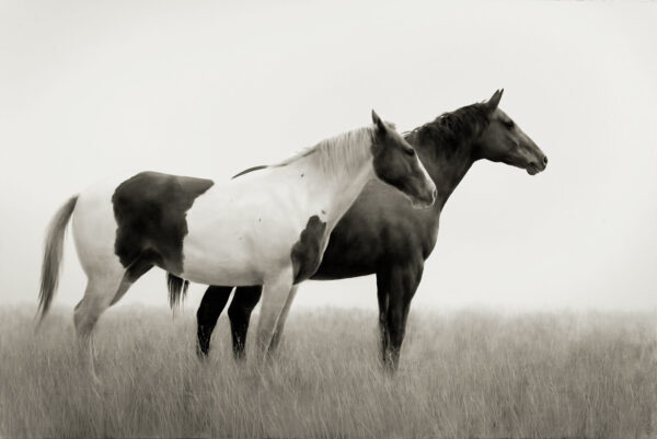 By Your Side - Image 1