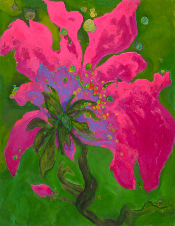 Pinkie Too - Image 1