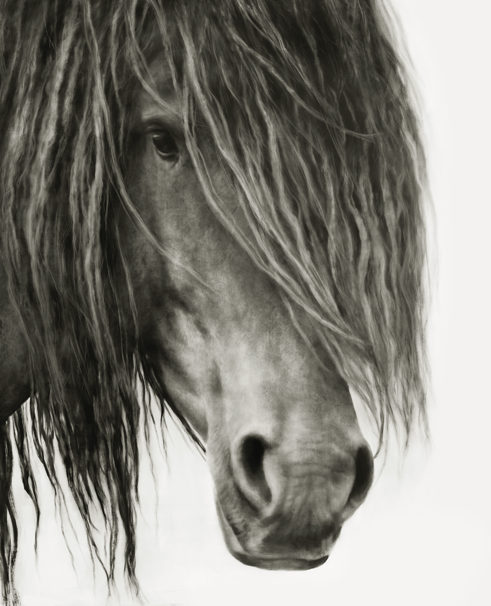 Born-Free-HR Born Free - Image 1