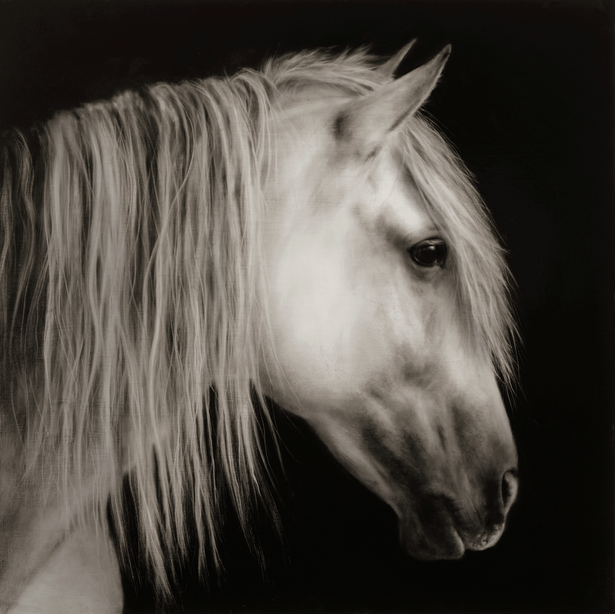 Angel Angel - Image 1