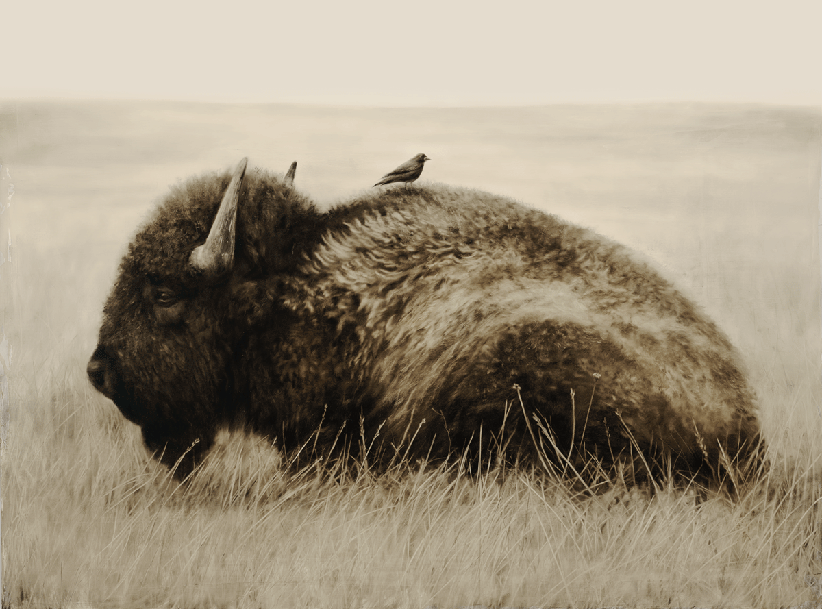 Got-Your-Back Got Your Back - Image 1