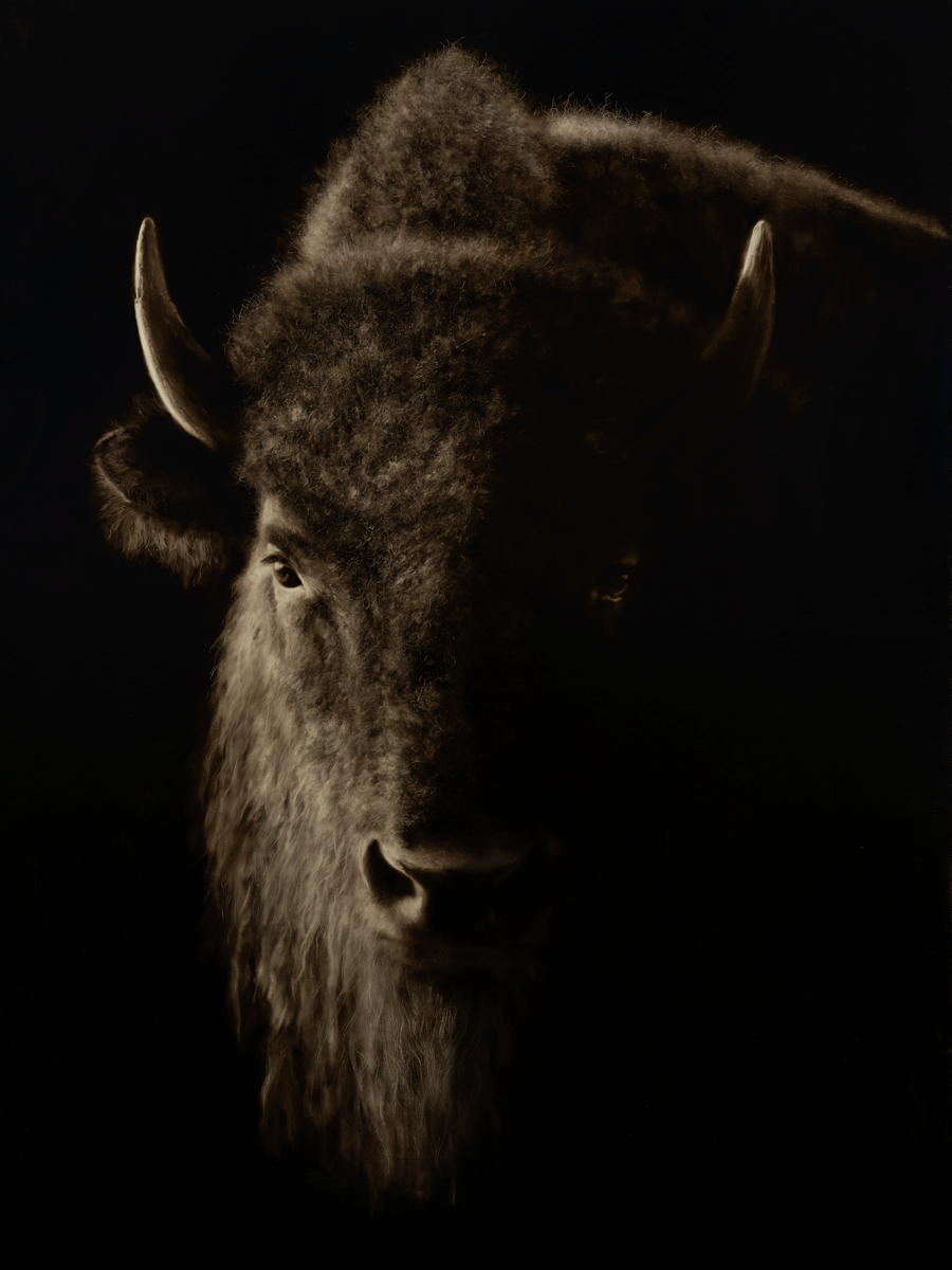 Night-Ranger Night Ranger - Image 1