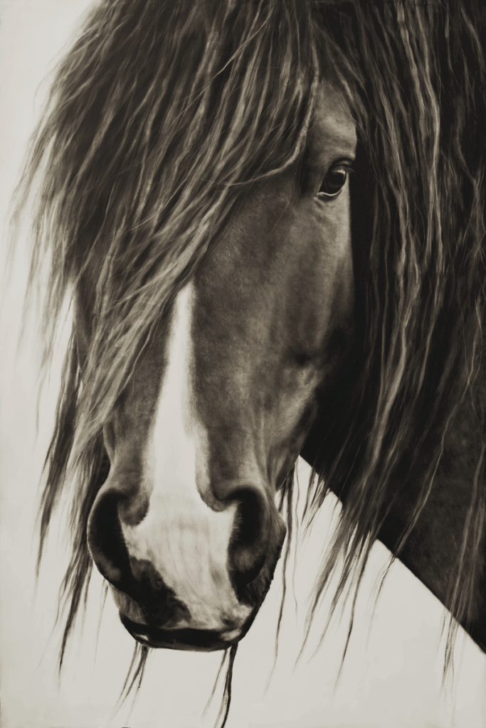 Wild-Spirit Wild Spirit - Image 1