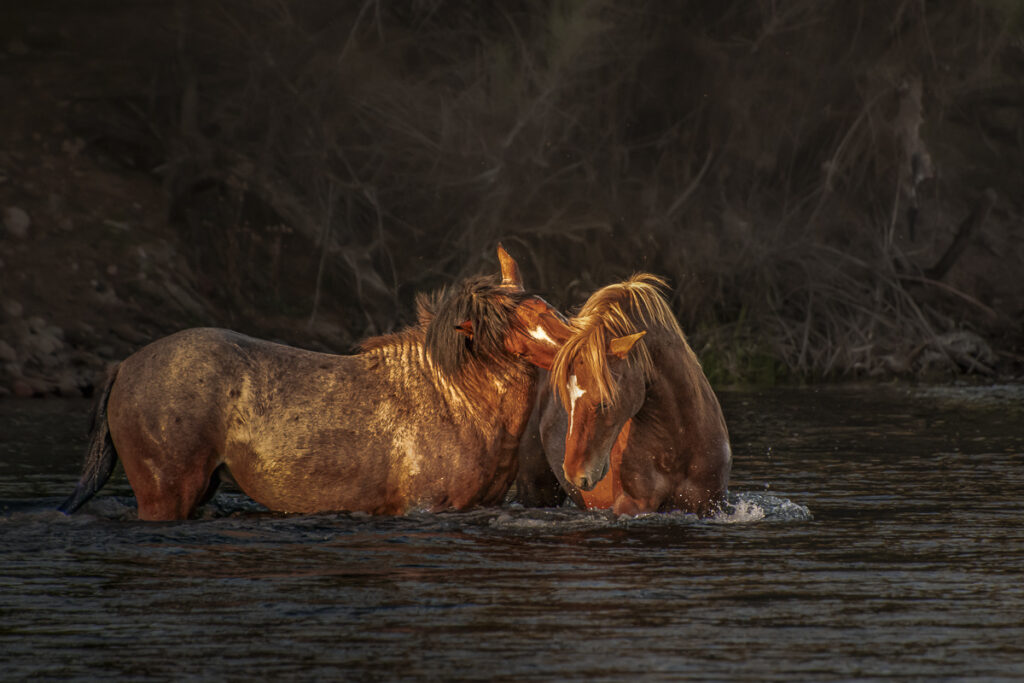 River Embrace River Embrace - Image 1