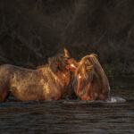 River Embrace