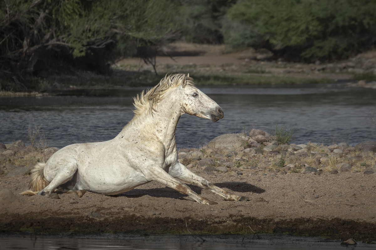 White Spirit White Spirit - Image 1